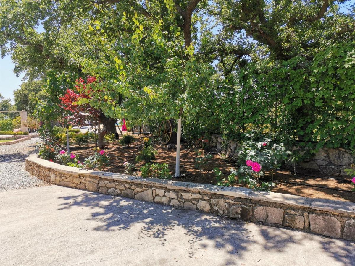 Villa Ermis - The Cretan Castello Kástellos 외부 사진
