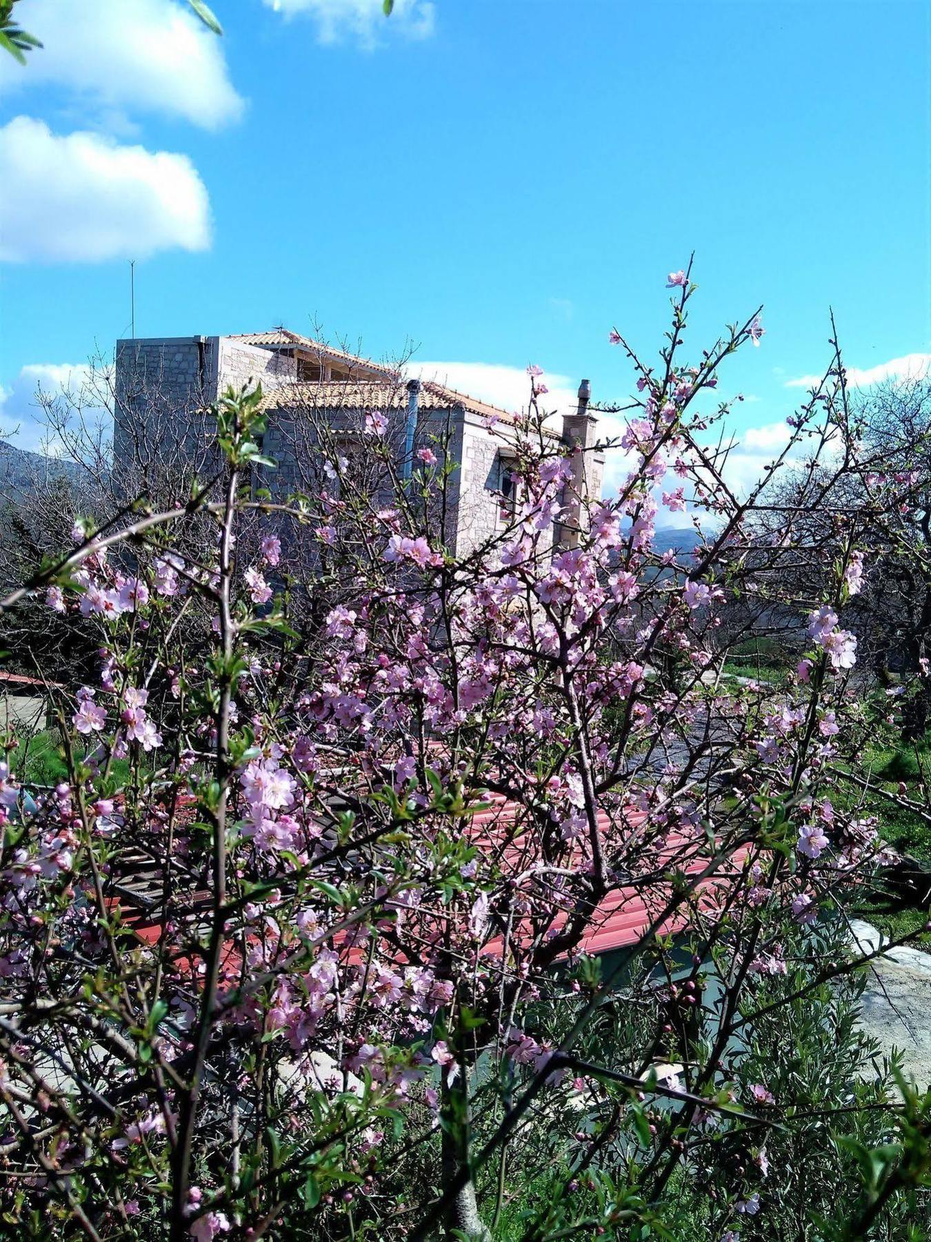 Villa Ermis - The Cretan Castello Kástellos 외부 사진
